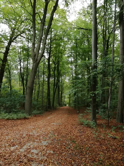 Gaasbeek + Kasteel van Gaasbeek (Lennik, België)